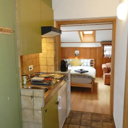 شقة Oehrli Studio- Dusche Oder Bad- Wc 2-bettwohnung By Interhome *